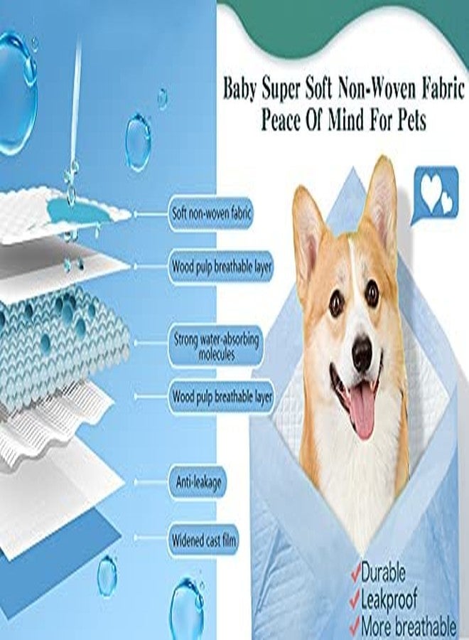 Pups&Pets Puppy Training Pee Pads Pet Training Pads for Dog and Puppy, Water Proof Dog Pee Pad (20 P, 60x90) - Image 4